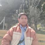 Ali Pioquinto Profile Picture