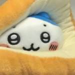 gong “jie” lin Profile Picture